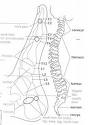 FL9CA9N1660CA07FVJACAV9DU0QCA0QAA3VCA09YXIMCA38PL8ECA4QVP0ECADEITXXCAVFYIF8CA7364ZPCAO10RL9CAVQ04JDCASTZ0IOCAJNZHEKCAZKEONLCACULOCWCAJWS35CCAWRRZG1CAHNIERN.jpg